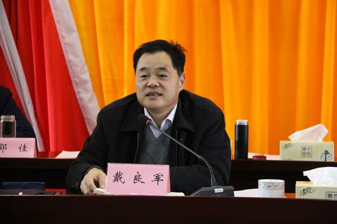 集团党委委员、副总经理、总工程师戴良军发表讲话